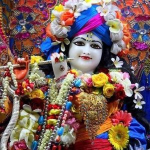 Meet your Posher, Komal